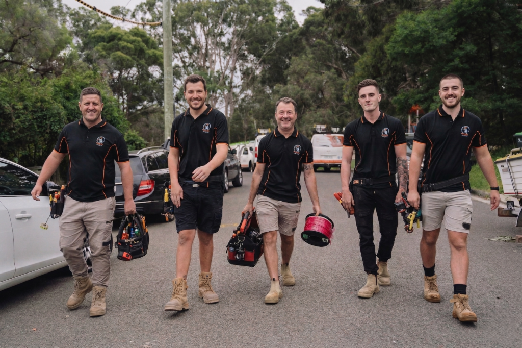 Professional electrical services in Miranda